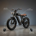 ThunderRider Moto-E Cruiser