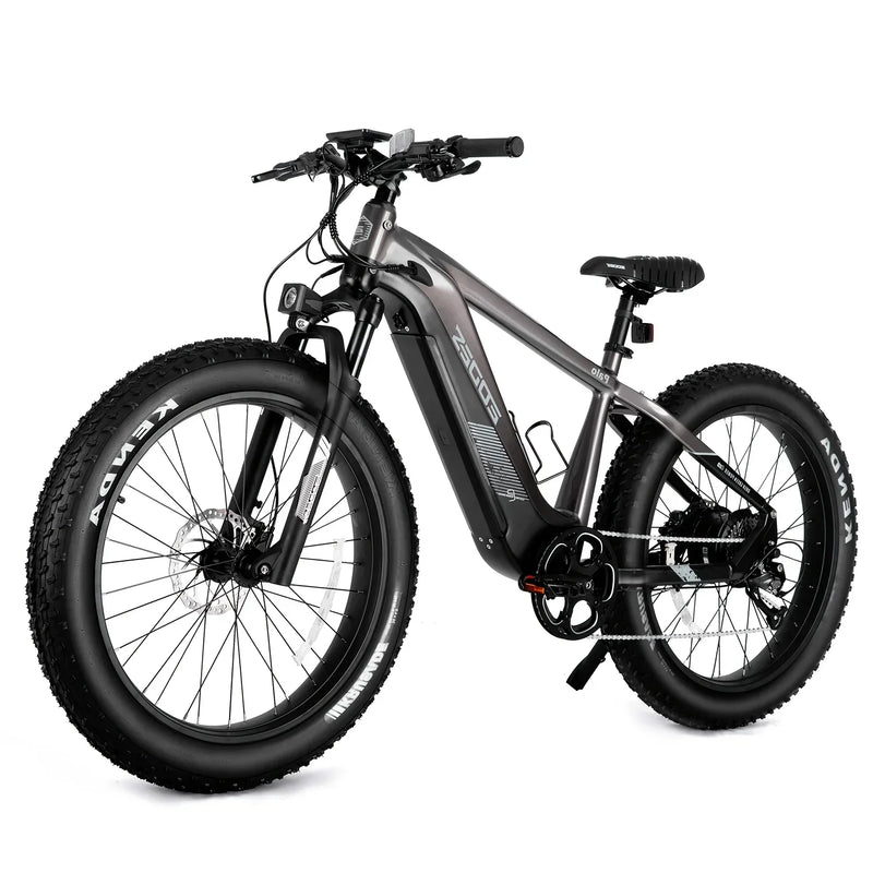 Electric Bikes