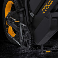 Coswheel GT20 Pro Electric Bike