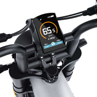 CT20S 60V 1500W Fat Tire Electric Bike by Coswheel