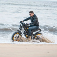 Coswheel GT20 Pro Electric Bike