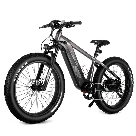 eBike Boys Z20 Fat Tire eBike – 52V 750W | LG 17Ah | 26" Fat Tires | 50-62 Mile Range | Black