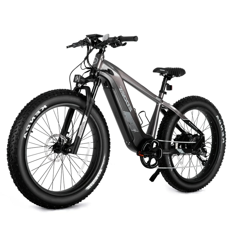 Dual Oil Disc Brakes & Solid Build 