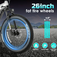 eBike Boys Z20 Fat Tire eBike – 52V 750W | LG 17Ah | 26" Fat Tires | 50-62 Mile Range | Black